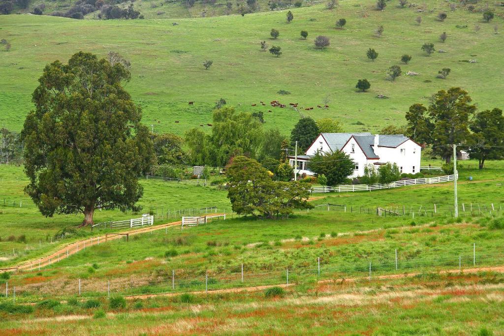 Roslyn House Bed & Breakfast Bushy Park Luaran gambar