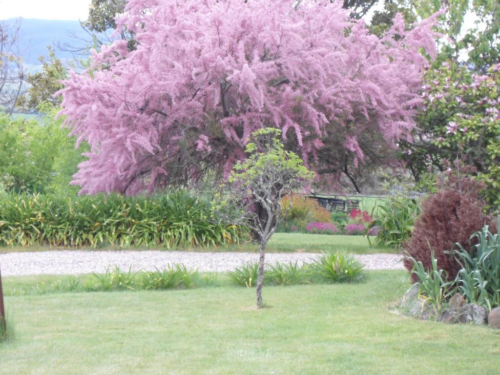 Roslyn House Bed & Breakfast Bushy Park Luaran gambar
