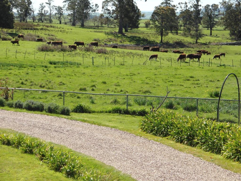 Roslyn House Bed & Breakfast Bushy Park Luaran gambar