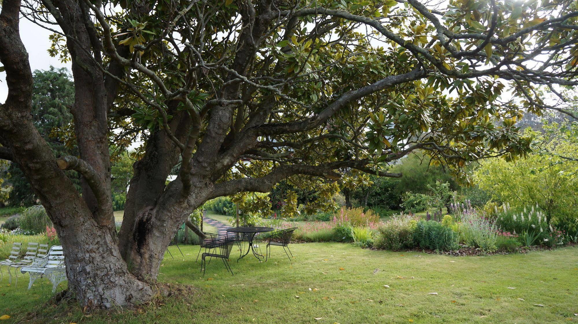 Roslyn House Bed & Breakfast Bushy Park Luaran gambar