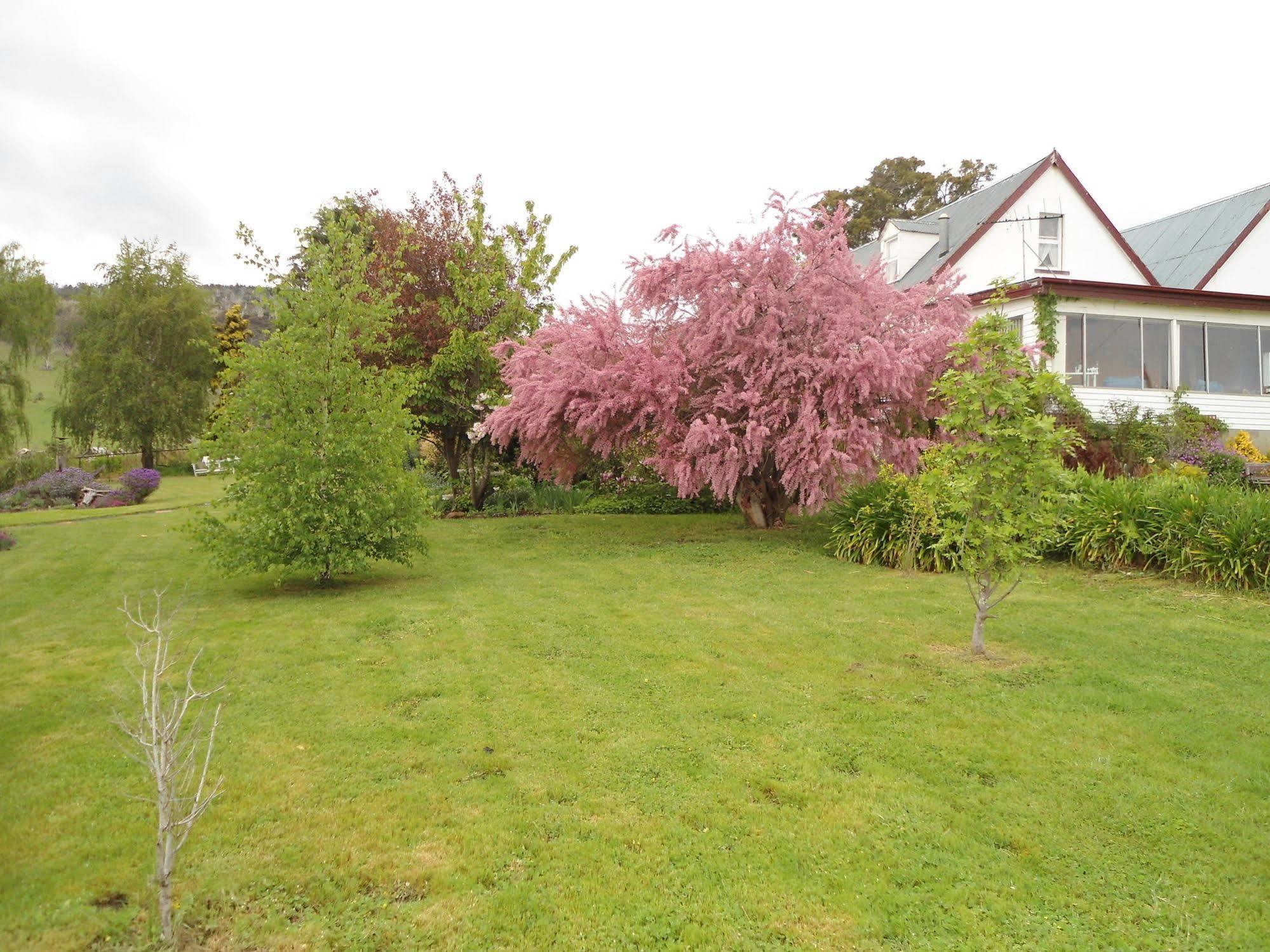 Roslyn House Bed & Breakfast Bushy Park Luaran gambar